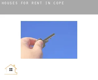 Houses for rent in  Cope