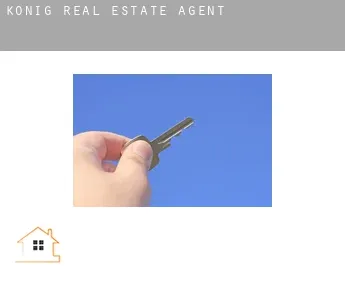 Konig  real estate agent