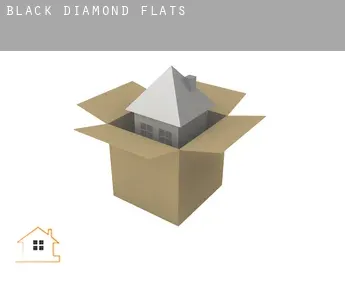 Black Diamond  flats