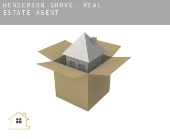 Henderson Grove  real estate agent