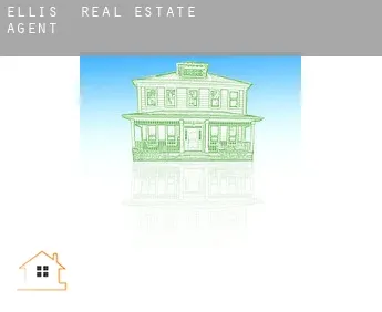 Ellis  real estate agent