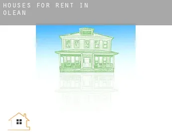 Houses for rent in  Olean