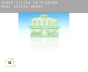 Other cities in Florida  real estate agent