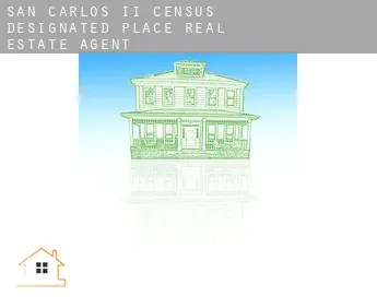 San Carlos II  real estate agent
