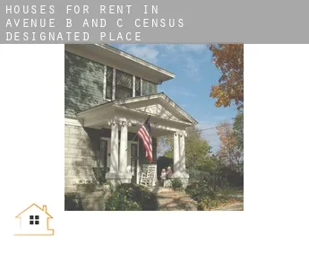 Houses for rent in  Avenue B and C