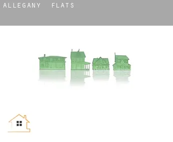 Allegany  flats