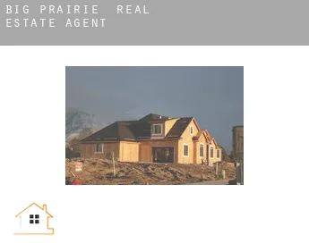 Big Prairie  real estate agent