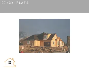 Dingy  flats