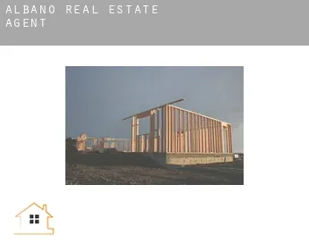 Albano  real estate agent