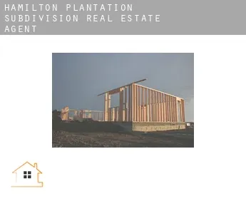 Hamilton Plantation Subdivision  real estate agent