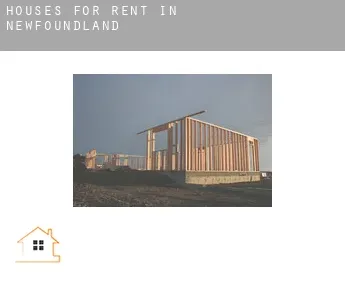 Houses for rent in  Newfoundland