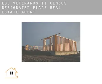 Los Veteranos II  real estate agent