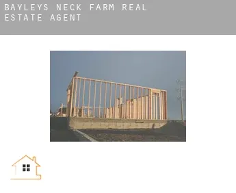 Bayleys Neck Farm  real estate agent