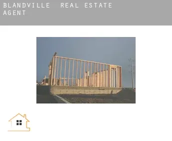 Blandville  real estate agent