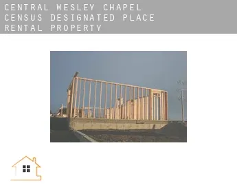 Central Wesley Chapel  rental property