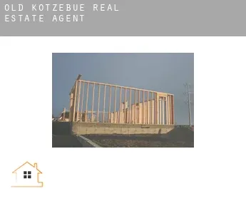 Old Kotzebue  real estate agent