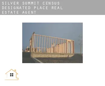 Silver Summit  real estate agent