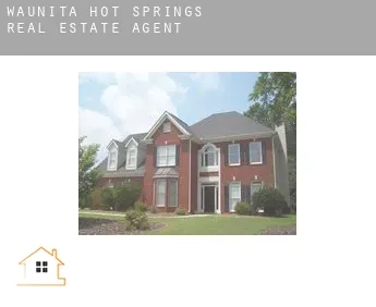 Waunita Hot Springs  real estate agent