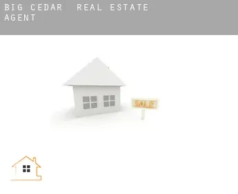 Big Cedar  real estate agent
