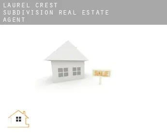 Laurel Crest Subdivision  real estate agent