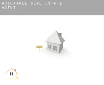 Arickaree  real estate agent