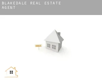 Blakedale  real estate agent