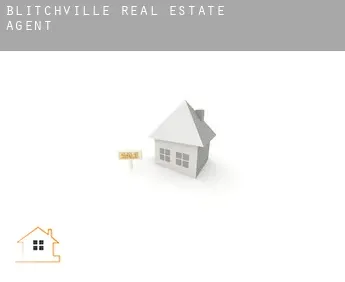 Blitchville  real estate agent