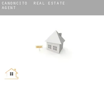 Canoncito  real estate agent