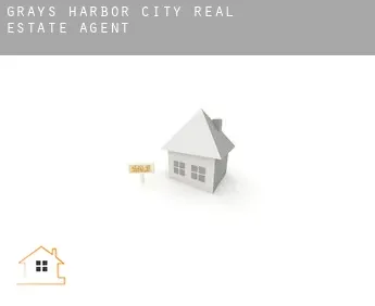 Grays Harbor City  real estate agent
