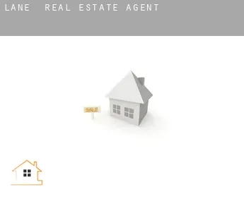 Lane  real estate agent