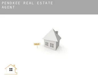 Penokee  real estate agent