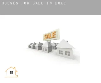 Houses for sale in  Duke