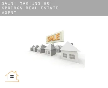 Saint Martins Hot Springs  real estate agent