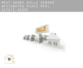 West Shady Hills  real estate agent