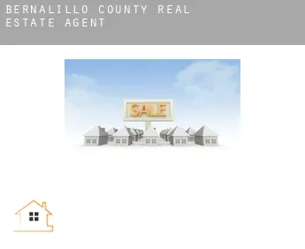 Bernalillo County  real estate agent