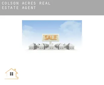 Colson Acres  real estate agent