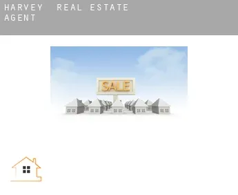 Harvey  real estate agent