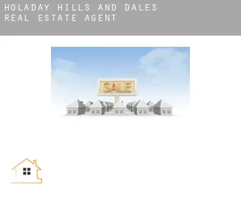 Holaday Hills and Dales  real estate agent
