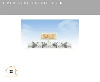 Homer  real estate agent
