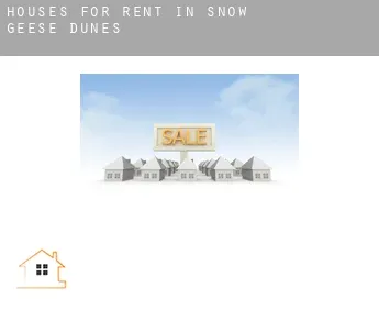 Houses for rent in  Snow Geese Dunes
