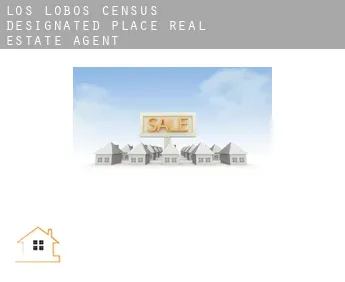 Los Lobos  real estate agent