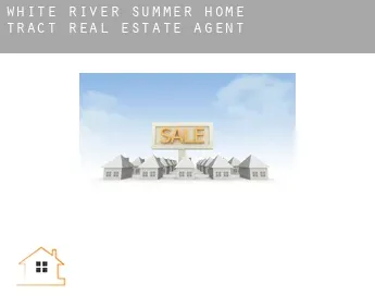 White River Summer Home Tract  real estate agent