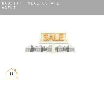 Babbitt  real estate agent