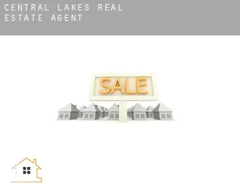 Central Lakes  real estate agent