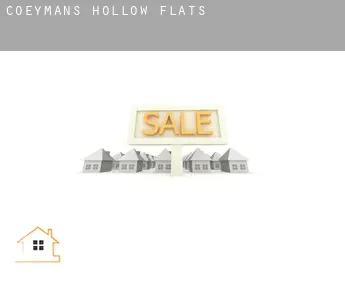 Coeymans Hollow  flats