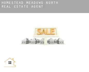 Homestead Meadows North  real estate agent
