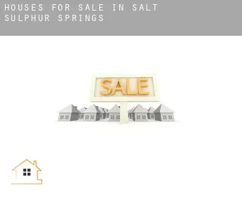Houses for sale in  Salt Sulphur Springs