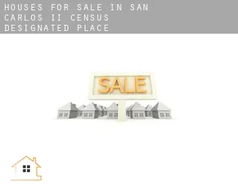 Houses for sale in  San Carlos II