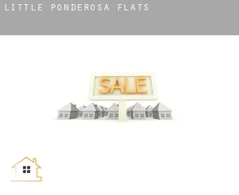 Little Ponderosa  flats