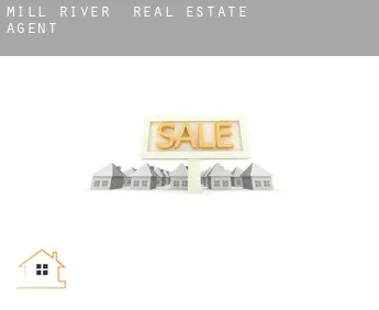 Mill River  real estate agent